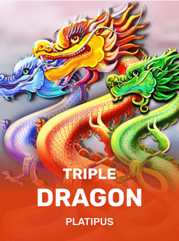 Triple Dragon - Platipus