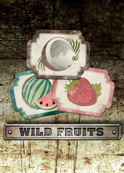 Wild Fruits - Endorphina